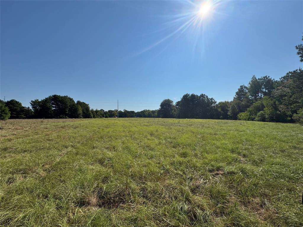 627 N HWY 287 - Photo 14