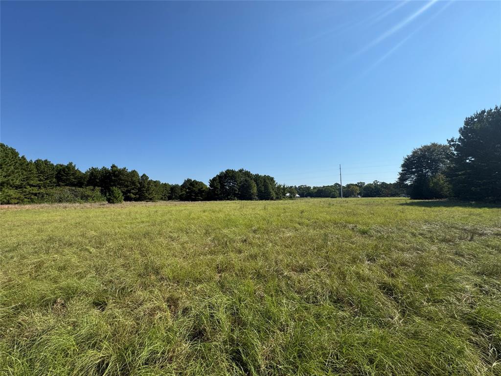 627 N HWY 287 - Photo 15