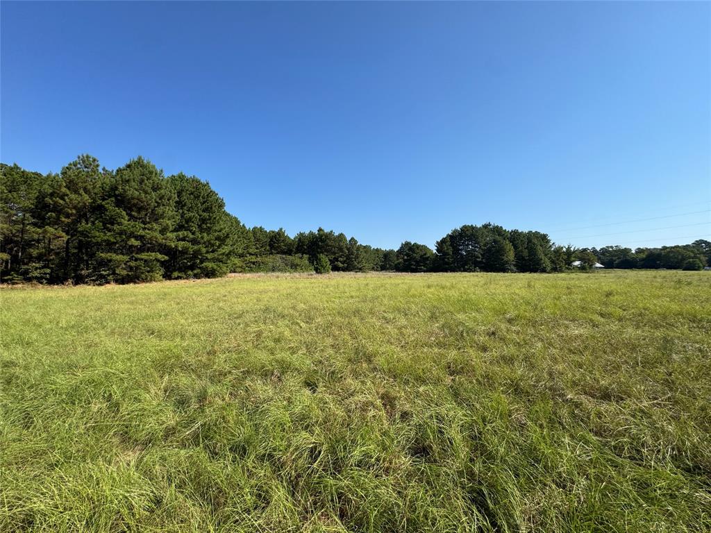 627 N HWY 287 - Photo 16
