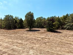 0 Allen Ranch Road - Photo 8