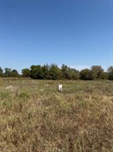 LOT 28 Fm 1810 - Photo 2