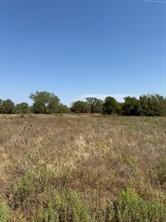 LOT 28 Fm 1810 - Photo 3