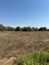 LOT 28 Fm 1810 - Photo 5