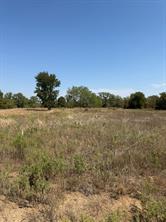 LOT 28 Fm 1810 - Photo 6