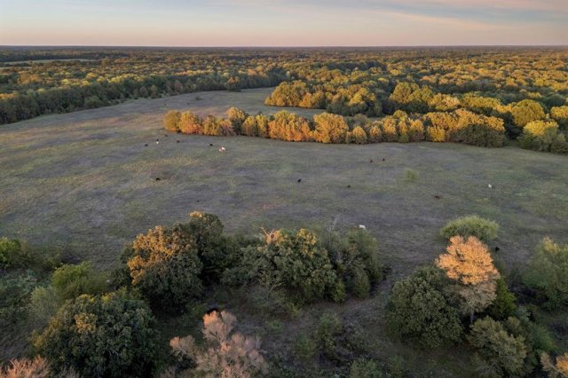 TBD RS County Road 4310