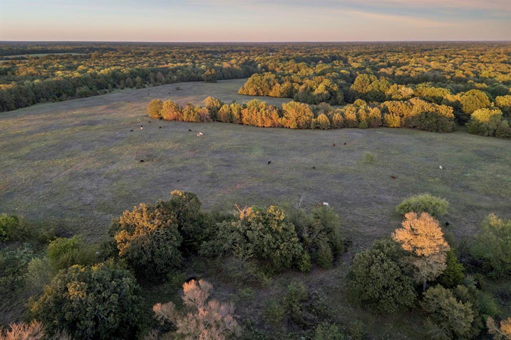TBD RS County Road 4310 - Photo 1