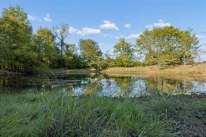 TBD RS County Road 4310 - Photo 14