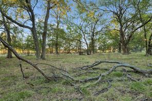 TBD RS County Road 4310 - Photo 20