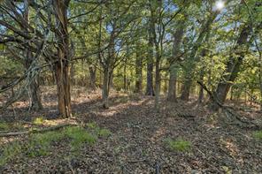 TBD RS County Road 4310 - Photo 21