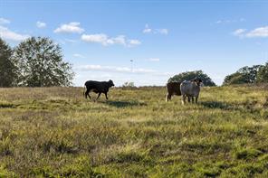 TBD RS County Road 4310 - Photo 23