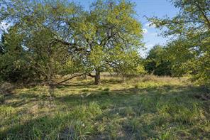 TBD RS County Road 4310 - Photo 25