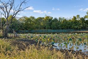 TBD RS County Road 4310 - Photo 26