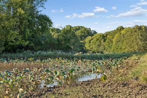 TBD RS County Road 4310 - Photo 27