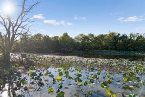 TBD RS County Road 4310 - Photo 28