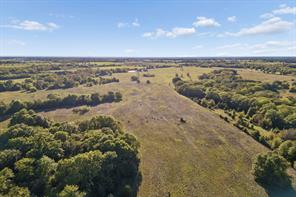TBD RS County Road 4310 - Photo 4