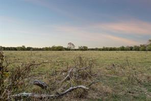 TBD RS County Road 4310 - Photo 8