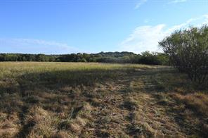 1811 Highway 570 - Photo 12