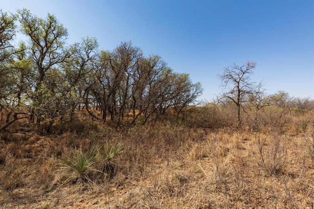 TBD CR 238 - Photo 13