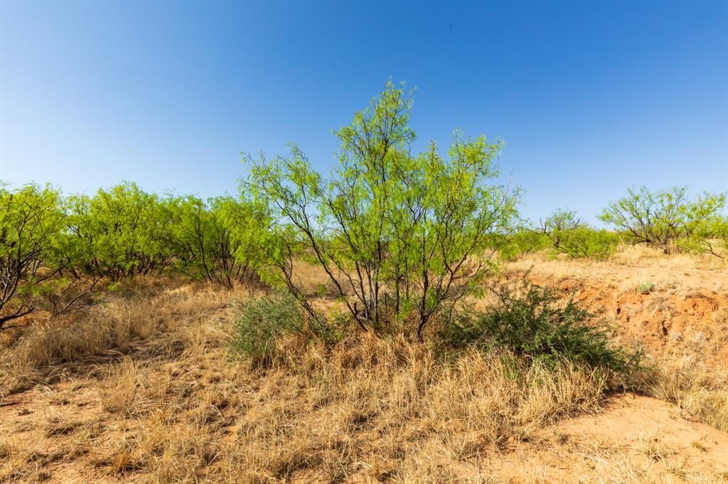 TBD CR 238 - Photo 14