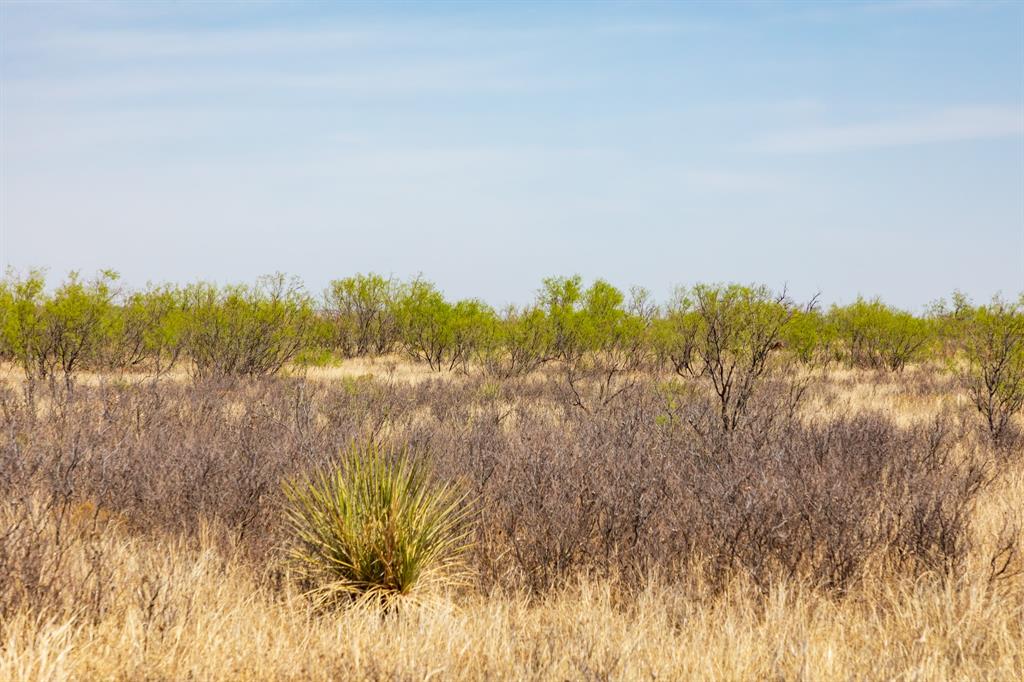 TBD CR 238 - Photo 26