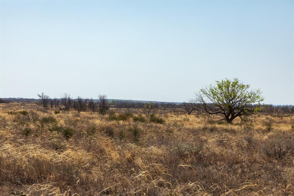 TBD CR 238 - Photo 29