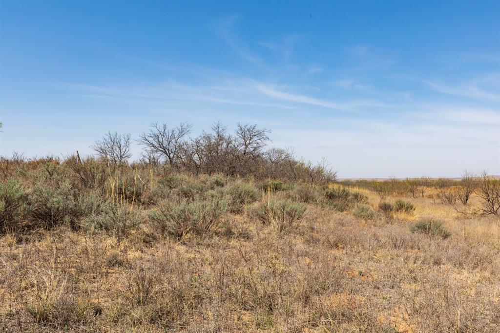 TBD CR 238 - Photo 5