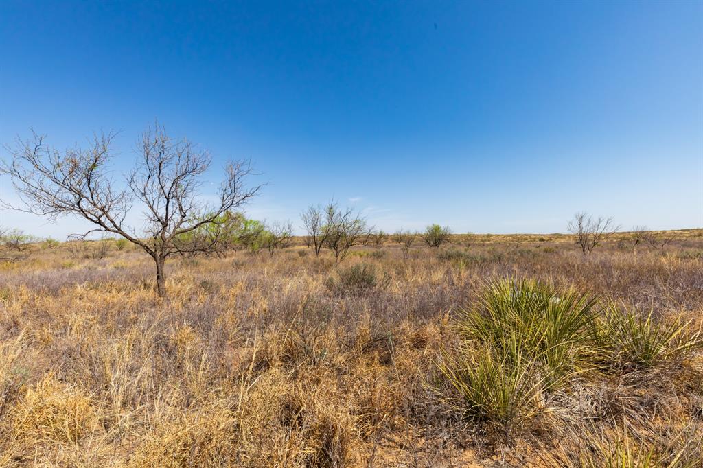TBD CR 238 - Photo 9