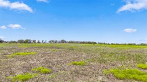 7225 N Hickory Road - Photo 5