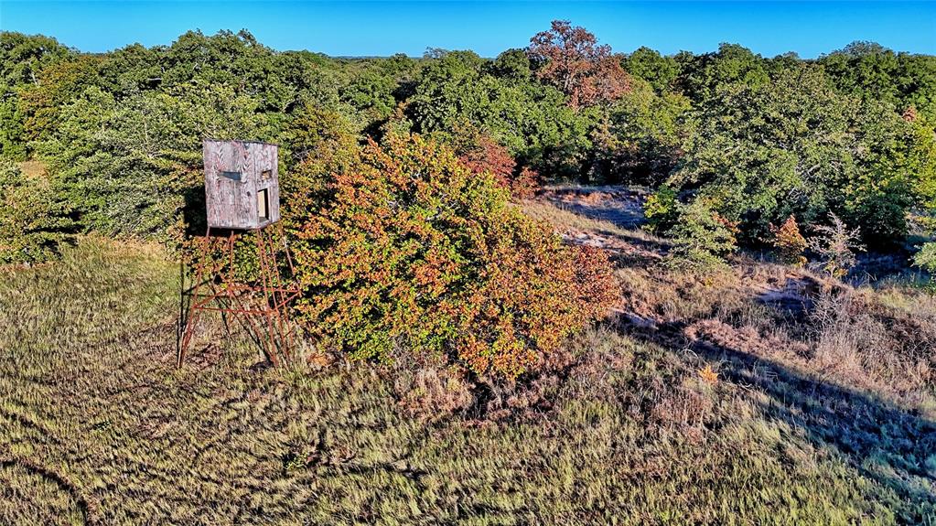 2222 Carminati - Photo 11