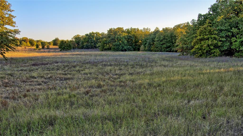 2222 Carminati - Photo 14