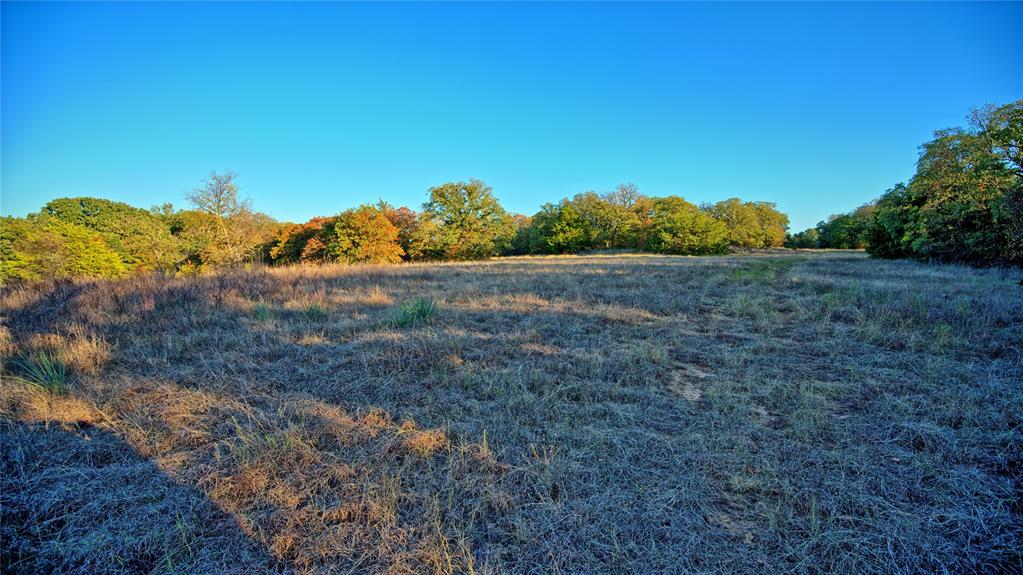 2222 Carminati - Photo 20