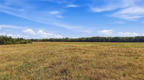 13393 US Highway 69 - Photo 8