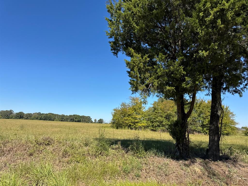 Lot 8 County Road 2922 - Photo 1