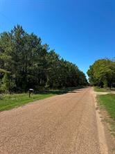 Lot 8 County Road 2922 - Photo 2