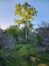 2516 County Road 328 - Photo 21