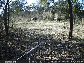 2516 County Road 328 - Photo 30