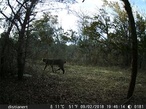 2516 County Road 328 - Photo 33