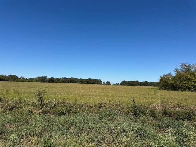 Lot 9 County Road 2922