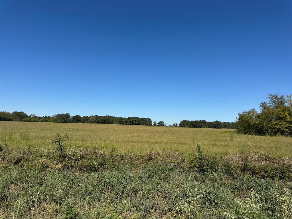 Lot 9 County Road 2922 - Photo 1