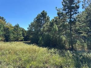 Lot 9 County Road 2922 - Photo 4