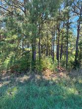 Lot 9 County Road 2922 - Photo 5