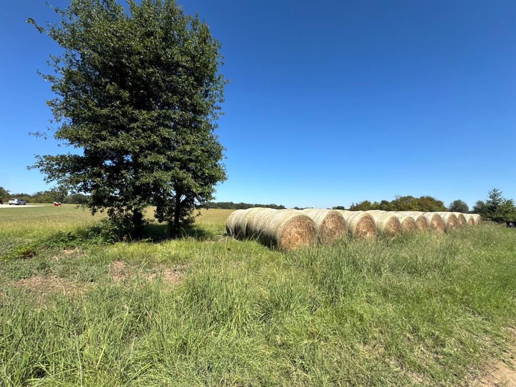 Lot 10 County Road 2922 - Photo 1