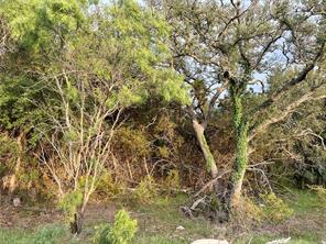 TBD FM 3023 - Photo 21