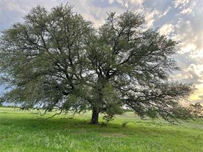 TBD FM 3023 - Photo 27
