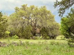 TBD FM 3023 - Photo 32