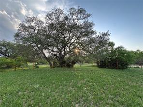 TBD FM 3023 - Photo 8