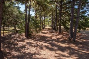 440 Holly Lane - Photo 6