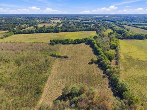 000 County Road 4612 - Photo 17