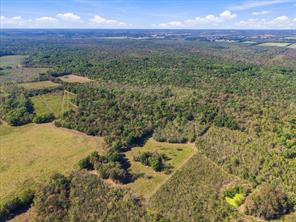 000 County Road 4612 - Photo 18