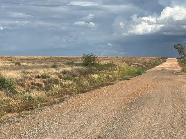 TBD County Rd 412 - Photo 1